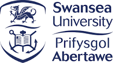 Swansea university